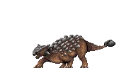 Ankylosaurus