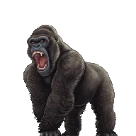 Gargantuan gorilla