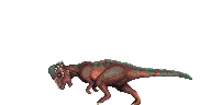 Pachycephalosaurus