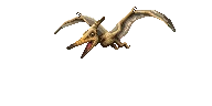 Pteranodon