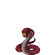 Red naga